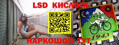 спайс Кандалакша