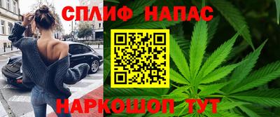 дурь Камышлов