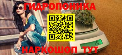 a pvp Канаш