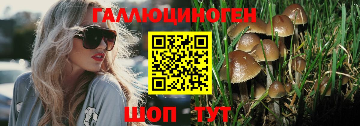 Галлюциногенные грибы MAGIC MUSHROOMS  Вход с VPN  Кропоткин 